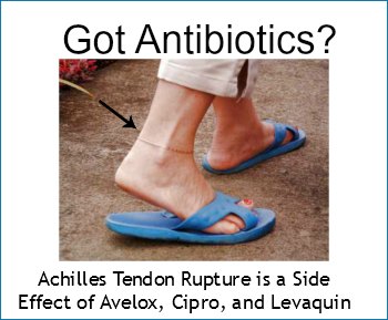 can amoxicillin cause tendon rupture