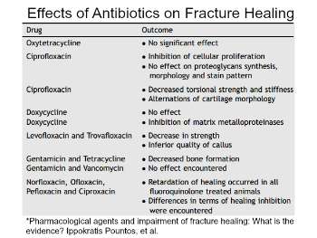 Effects of Antibiotics on Fracture Healing