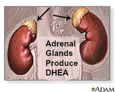 side effects of dhea produced from the adrenal glands