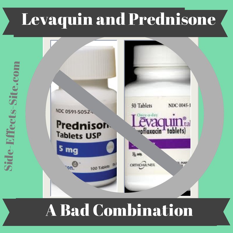 Levaquin and Prednisone are a bad combination