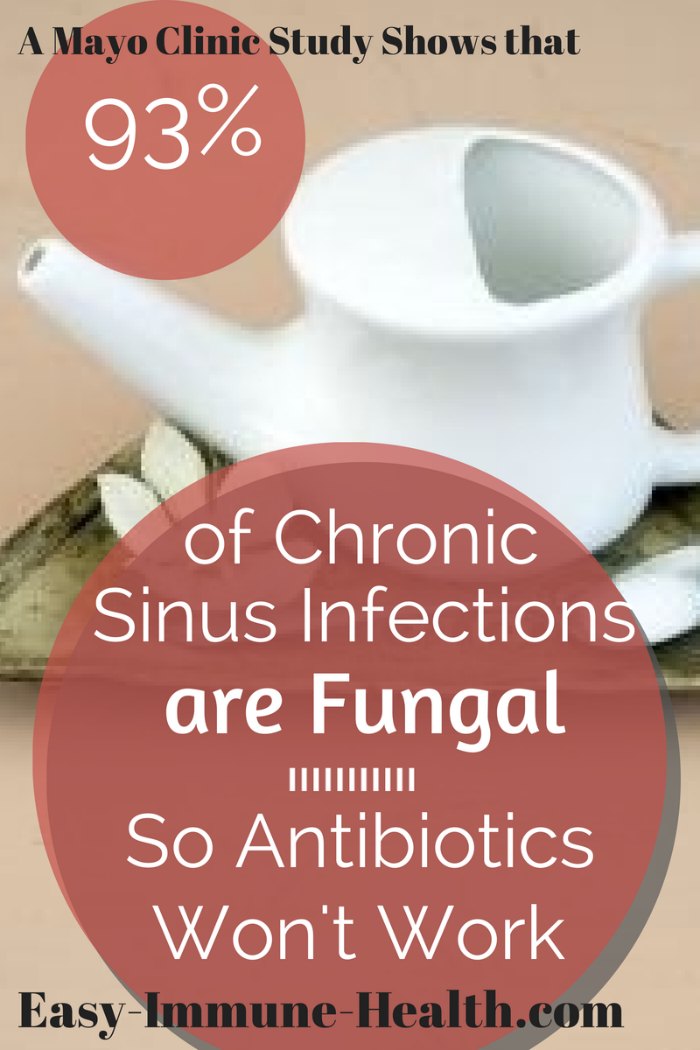 Levaquin Sinus Infection Treatment is risky. 93% of chronic sinus infections are fungal and antibiotics won't work
