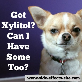 What are the xylitol risks for you, kids, and dogs?